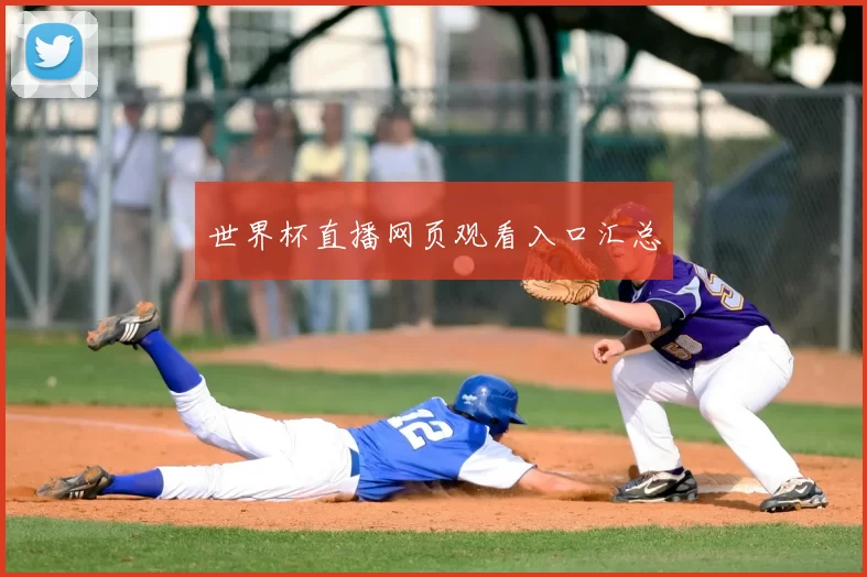 世界杯直播网页观看入口汇总