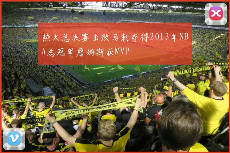 热火总决赛击败马刺夺得2013年NBA总冠军詹姆斯获MVP