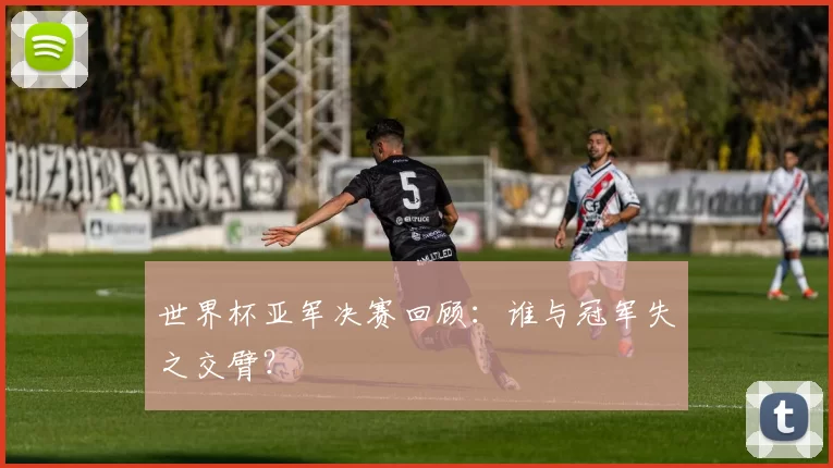 世界杯亚军决赛回顾:谁与冠军失之交臂?