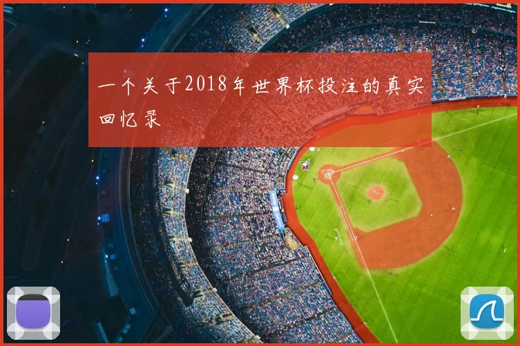 一个关于2018年世界杯投注的真实回忆录