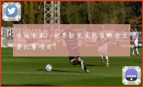 专访专家：世界杯究竟包含哪些主要比赛项目？