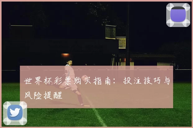 世界杯彩票购买指南：投注技巧与风险提醒