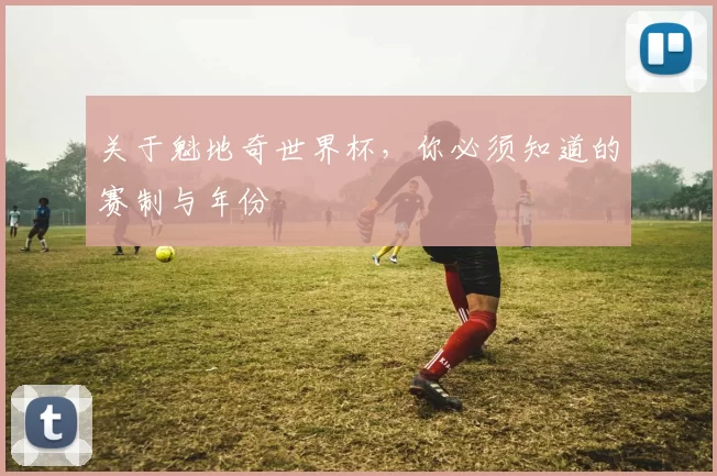 关于魁地奇世界杯，你必须知道的赛制与年份