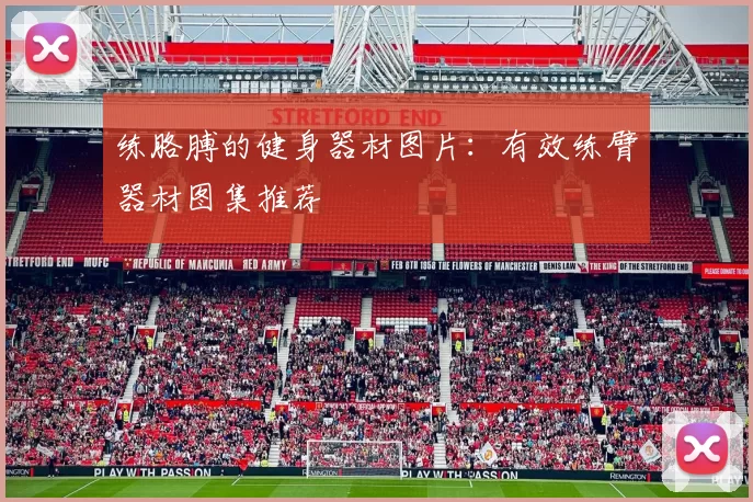 练胳膊的健身器材图片：有效练臂器材图集推荐