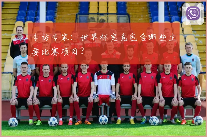 专访专家：世界杯究竟包含哪些主要比赛项目？