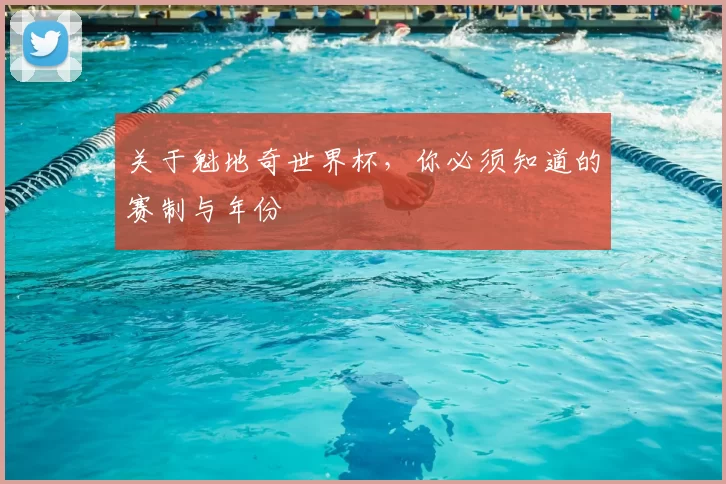 关于魁地奇世界杯,你必须知道的赛制与年份