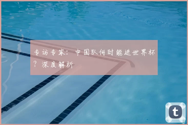 专访专家：中国队何时能进世界杯？深度解析