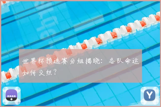 世界杯预选赛分组揭晓:各队命运如何交织?