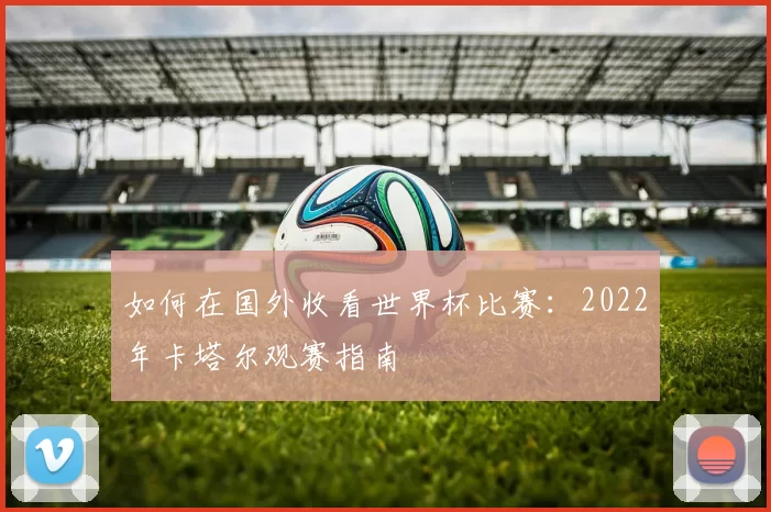 如何在国外收看世界杯比赛:2022年卡塔尔观赛指南